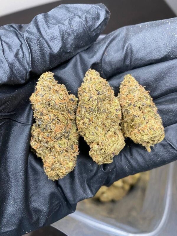 buy-weed-in-hamburg-1.jpeg Cannabis Online in Frankfurt kaufen