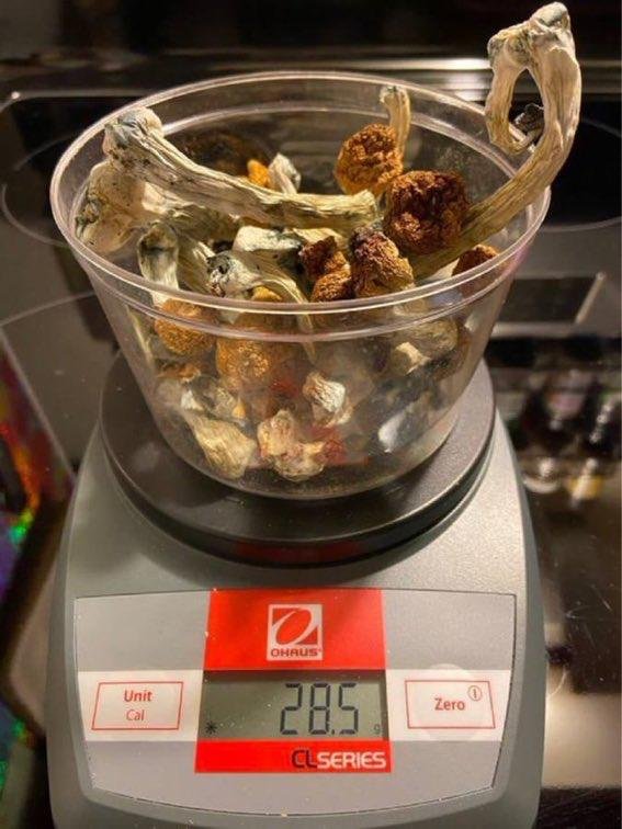 dried-shrooms-scaled-1.jpeg Pilze in Frankfurt online kaufen
