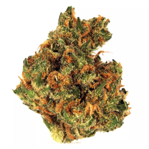 Insel-Süßes Stinktier