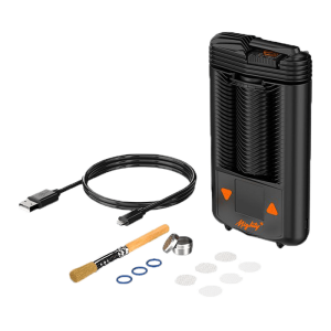 Storz & Bickel Mighty +